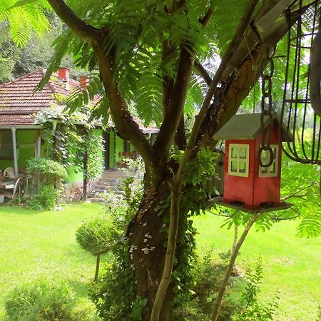 Etno-Kuca "Leka" Klisura Βίλα Despotovac Εξωτερικό φωτογραφία
